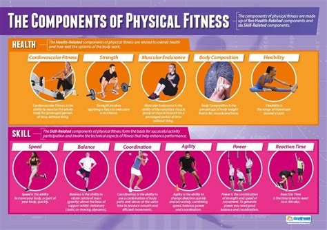physical education poster ideas|Printable Exercise Posters for Physical Education Class.